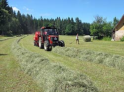 Heuernte 2008 in Tennenbronn