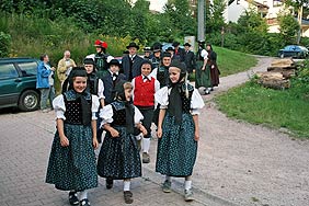 Heugausfest des Akkordeonorchesters 2008