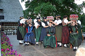 Heugausfest des Akkordeonorchesters 2008