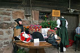 Heugausfest des Akkordeonorchesters 2008