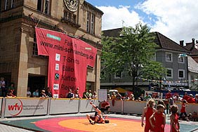 Mini-Schramberg 2008