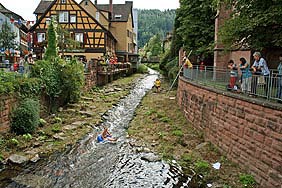 Mini-Schramberg 2008