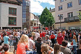 Mini-Schramberg 2008