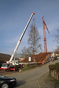 Umbau Ringerhalle