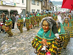 25 Jahre Wurzelhexen