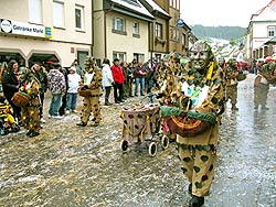 25 Jahre Wurzelhexen