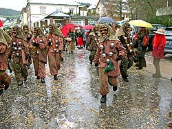 25 Jahre Wurzelhexen