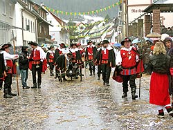 25 Jahre Wurzelhexen