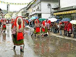 25 Jahre Wurzelhexen