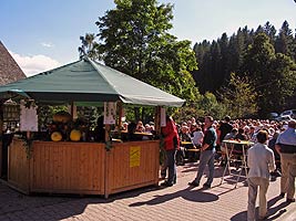 Weinfest Akkordeon