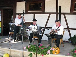 Weinfest Akkordeon