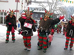 Fasnetumzug in Tennenbronn2010