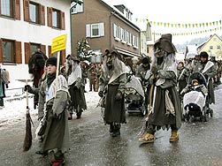 Fasnetumzug in Tennenbronn2010