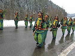 Fasnetumzug in Tennenbronn2010