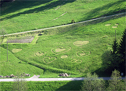 Getreidekreise im Eichbach