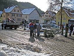 Narrenbaum setzen