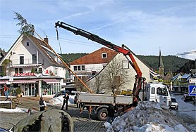 Narrenbaum setzen