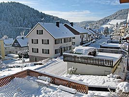Winter in Tennenbronn 2010