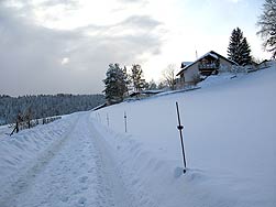 Winter 2010