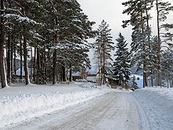 Winter 2010