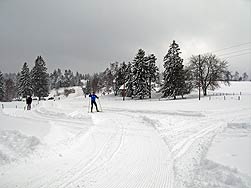 Winter 2010