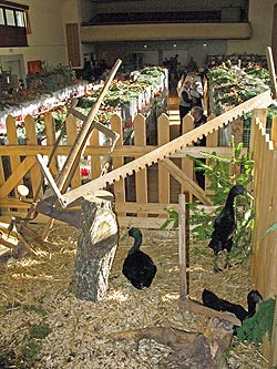 Geflgelschau 2011