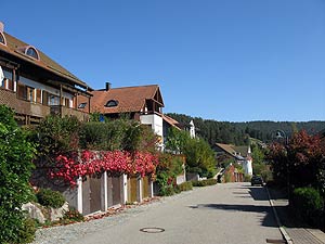 Herbstspaziergang