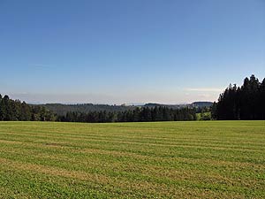 Herbstspaziergang