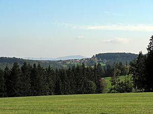 Herbstspaziergang