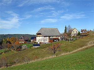 Herbstspaziergang