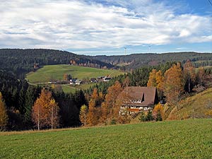 Herbstspaziergang