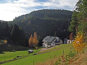 Herbstspaziergang