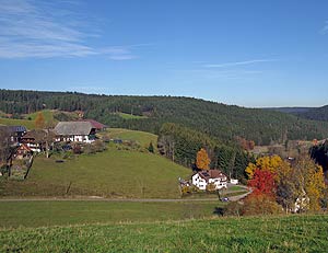 Herbstspaziergang