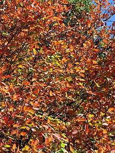 Herbstspaziergang