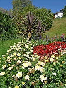 Herbstspaziergang