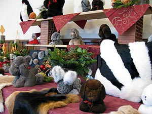 Kanichenausstellung 2011