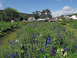Landesgartenschau 2011 Horb