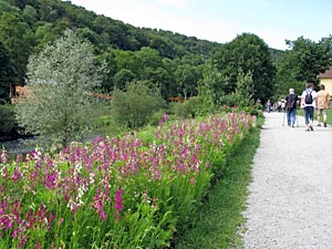 Landesgartenschau 2011 Horb