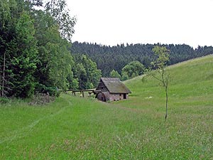 Mooswaldmhle Sulzbach