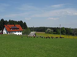 Osterspaziergang in Tennenbronn 2011
