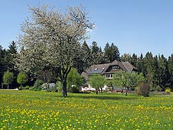 Osterspaziergang in Tennenbronn 2011
