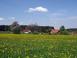 Osterspaziergang in Tennenbronn 2011