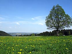 Osterspaziergang in Tennenbronn 2011