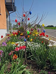 Osterspaziergang in Tennenbronn 2011