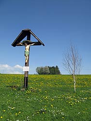 Osterspaziergang in Tennenbronn 2011