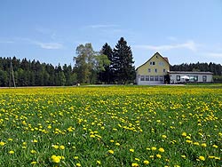 Osterspaziergang in Tennenbronn 2011