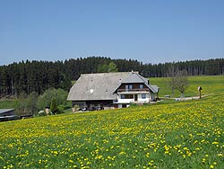 Osterspaziergang in Tennenbronn 2011