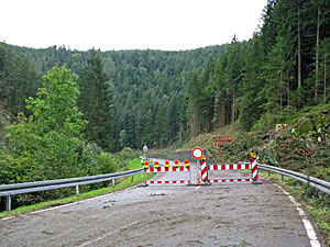 Holzmachen in der Berneck