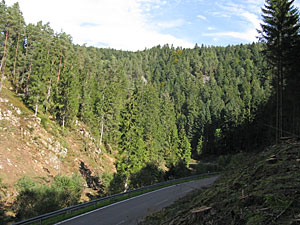 Holzmachen in der Berneck
