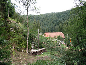 Holzmachen in der Berneck